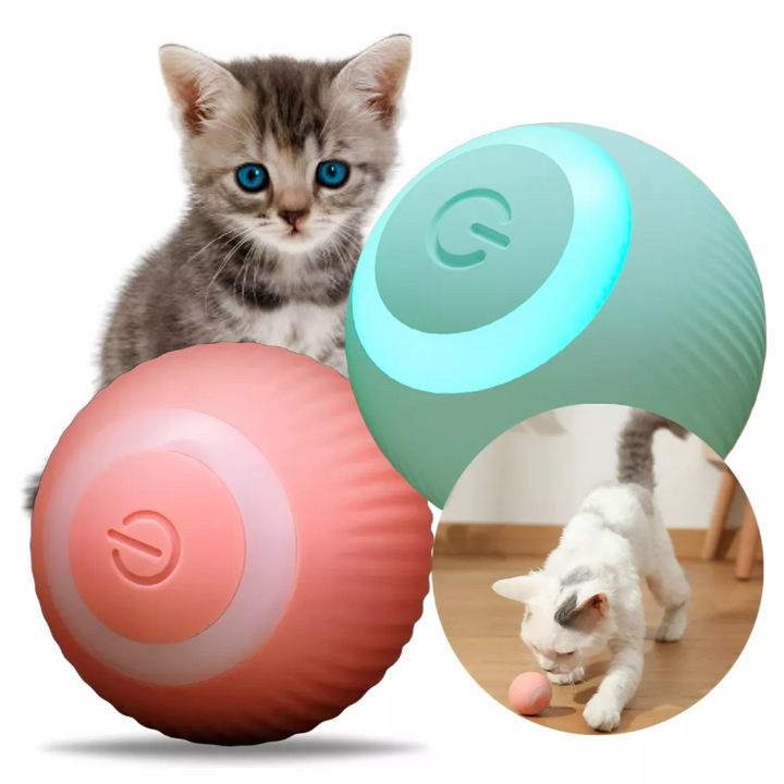 Bola Inteligente Silicone para Gatos